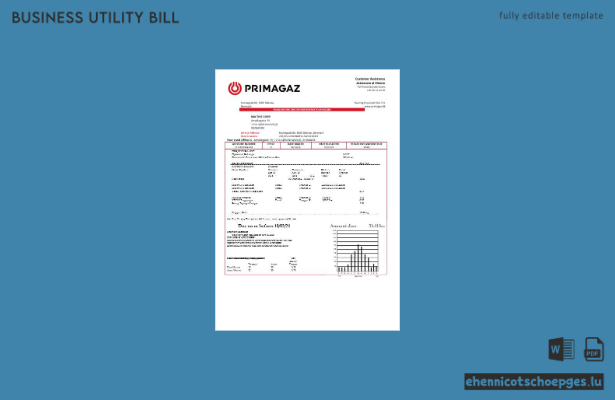 Beispielrechnung für Gasdienstleistungen von Primagaz Dänemark (Dänemark)